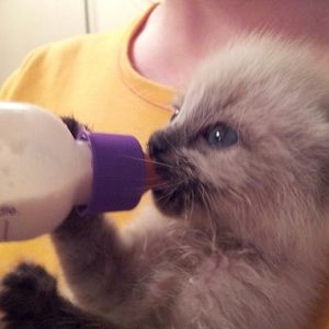 Meet your Posher, Connie